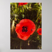 Floral Poppy Dreamer – Botanical Fantasy Art  ポスター (正面)