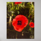 Floral Poppy Dreamer – Botanical Fantasy Art  ポスター (正面)