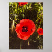 Floral Poppy Dreamer – Botanical Fantasy Art  ポスター (正面)