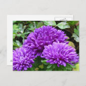 Floral Postcard ポストカード (正面/裏面)