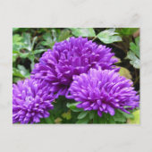 Floral Postcard ポストカード (正面)