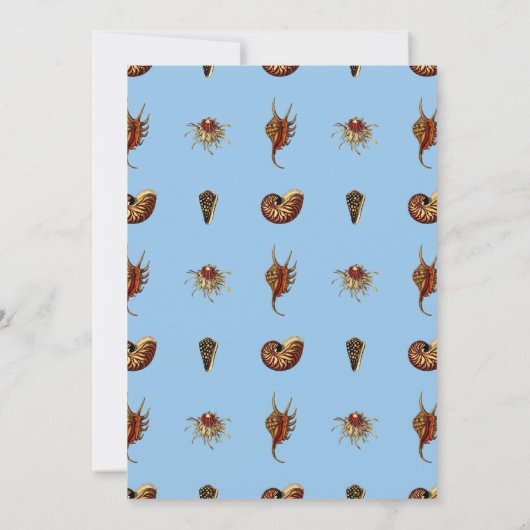 Floral Shelllfish Coastal Wedding 招待状 (裏面)