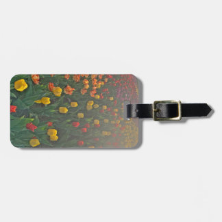 Floral Tulip Luggage Tag ラゲッジタグ
