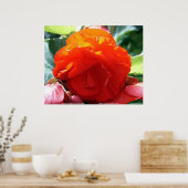 Floralscape/JDA030408107 ポスター (キッチン)