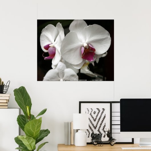 Floralscape/JDA030408109 ポスター (ホームオフィス)