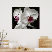 Floralscape/JDA030408109 ポスター (キッチン)