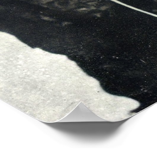 Florence Nightingale ポスター (角)