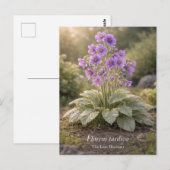 Florens tardiva The Late Bloomer Botanical ポストカード (正面/裏面)