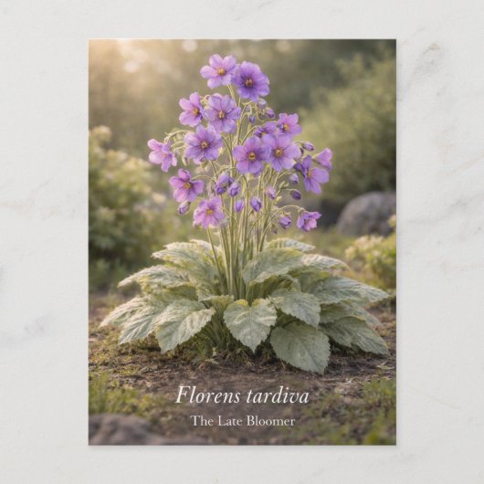 Florens tardiva The Late Bloomer Botanical ポストカード (正面)