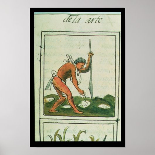 Florentine Codex'by Bernardino de Sahagun ポスター (正面)