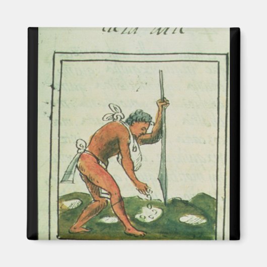 Florentine Codex'by Bernardino de Sahagun マグネット (正面)