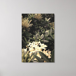 Flores amarelas キャンバスプリント