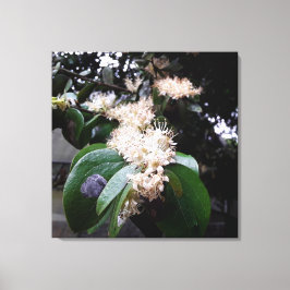 flores brancas1 キャンバスプリント