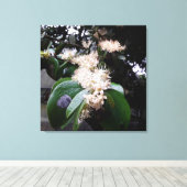 flores brancas1 キャンバスプリント (インサイチュ (ウッドフロア))