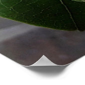 flores brancas1 ポスター (角)