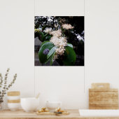 flores brancas1 ポスター (キッチン)