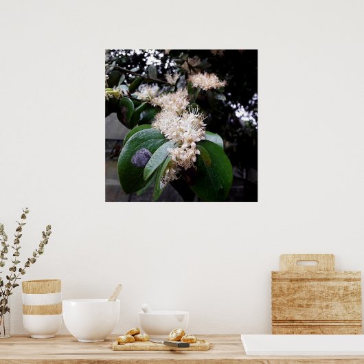 flores brancas1 ポスター (キッチン)