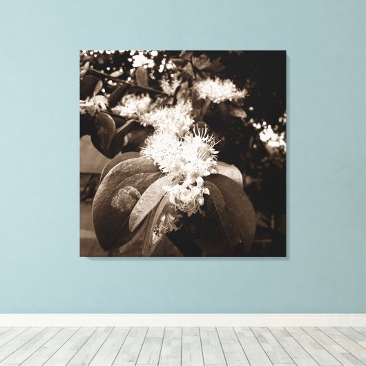 flores brancas2 キャンバスプリント (インサイチュ (ウッドフロア))