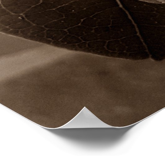 flores brancas2 ポスター (角)