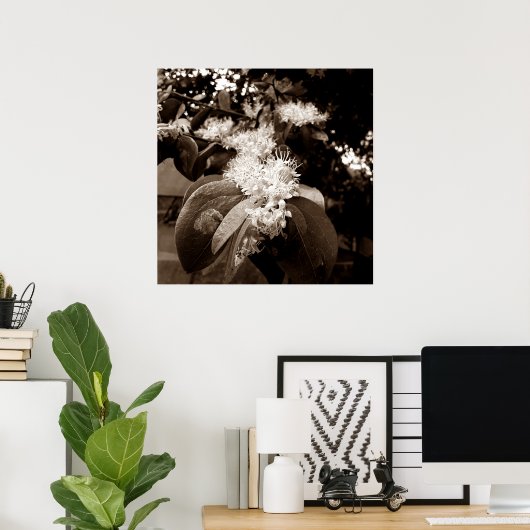 flores brancas2 ポスター (ホームオフィス)