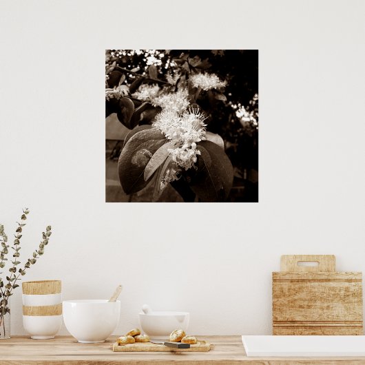 flores brancas2 ポスター (キッチン)