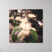 flores brancas3 キャンバスプリント (正面)