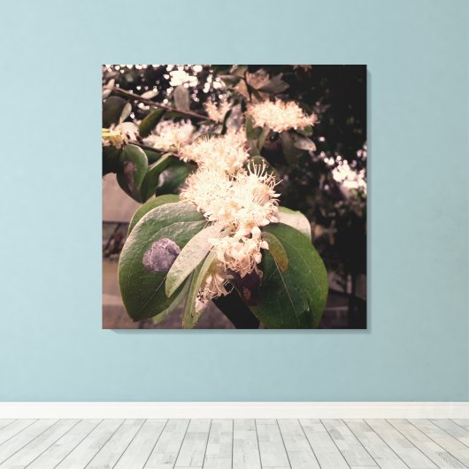 flores brancas3 キャンバスプリント (インサイチュ (ウッドフロア))