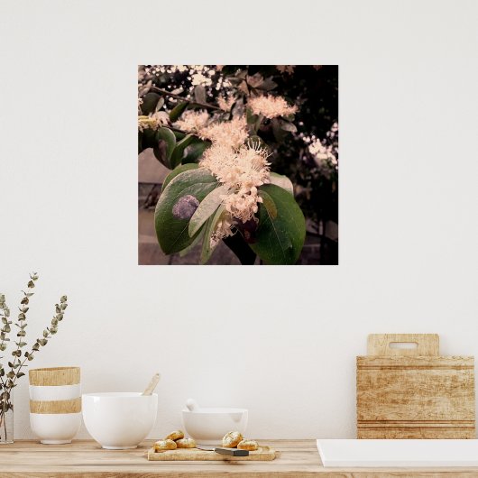 flores brancas3 ポスター (キッチン)