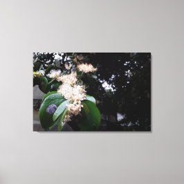 flores brancas キャンバスプリント