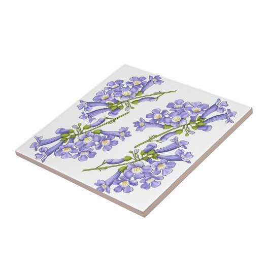 Flores do Brasil jacaranda タイル (側面)