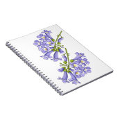 Flores do Brasil jacaranda ノートブック (右側)