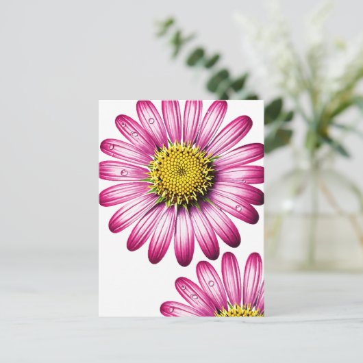 flores gérbera ポストカード (スタンド正面)