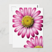 flores gérbera ポストカード (正面/裏面)