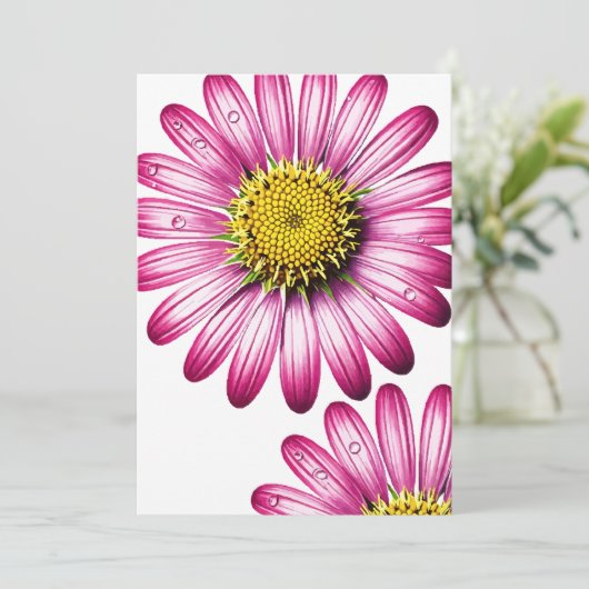 flores gérbera 招待状 (スタンド正面)