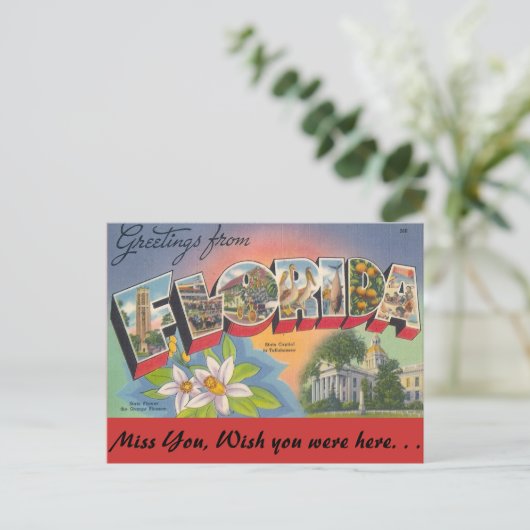 FLORIDAからの挨拶 ポストカード (スタンド正面)