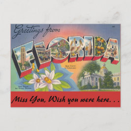 FLORIDAからの挨拶 ポストカード
