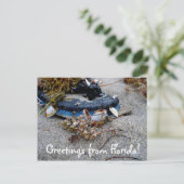 Floridaポストカードからの挨拶 ポストカード (スタンド正面)