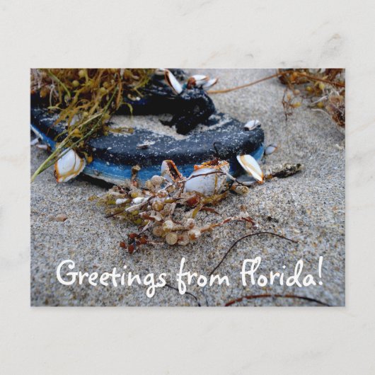 Floridaポストカードからの挨拶 ポストカード (正面)