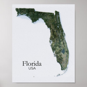 Floridaレリーフ、 浮き彫りマップ自然テクスチャ ポスター