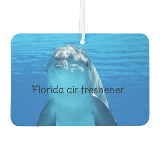 Florida  カーエアーフレッシュナー (正面)