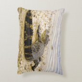 Florida Alligator from back view photography  アクセントクッション (裏面(縦))