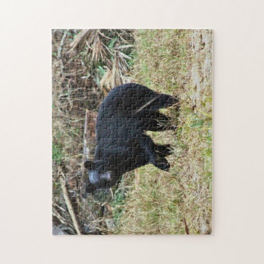 Florida Black Bear ジグソーパズル (縦)
