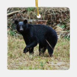 Florida Black Bear セラミックオーナメント