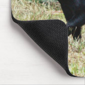 Florida Black Bear マウスパッド (コーナー)