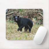 Florida Black Bear マウスパッド (マウス)