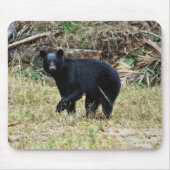 Florida Black Bear マウスパッド (正面)