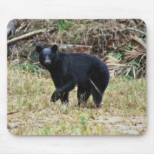 Florida Black Bear マウスパッド (正面)