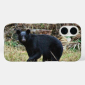 Florida Black Bear Case-Mate iPhoneケース (裏面 (横))