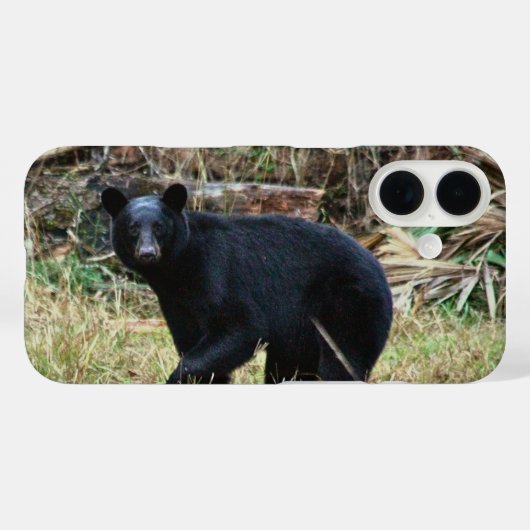 Florida Black Bear Case-Mate iPhoneケース (裏面 (横))