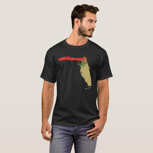 Florida Black Pride Pan African Flag Home Hometow Tシャツ (正面フル)